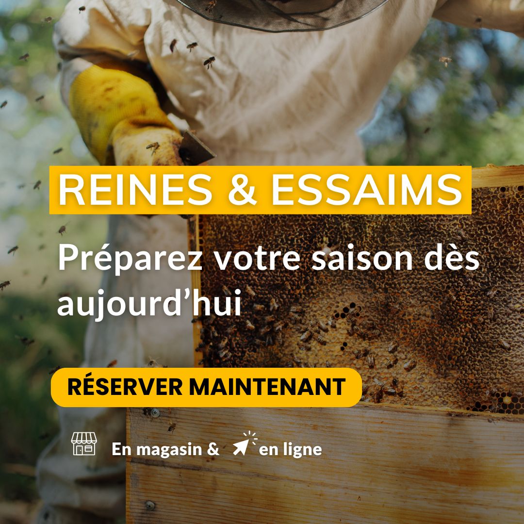 Kits d&eacute;butants