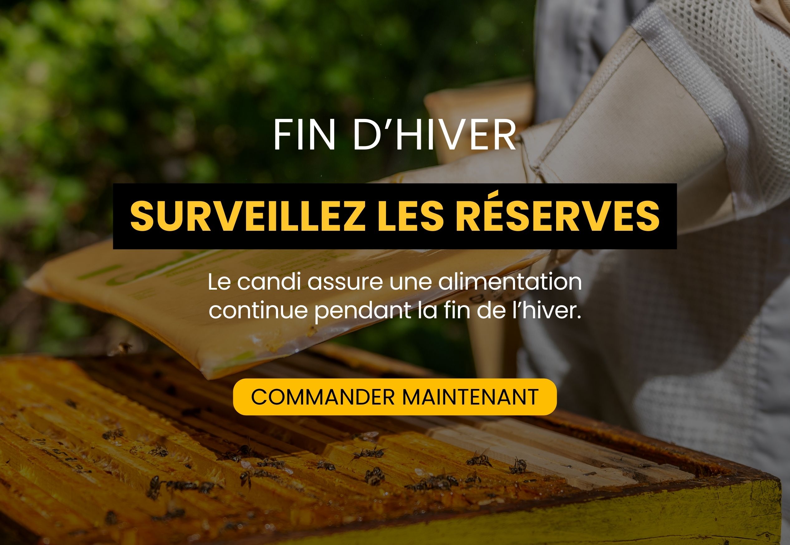 image de bonne ann&eacute;e + code promo