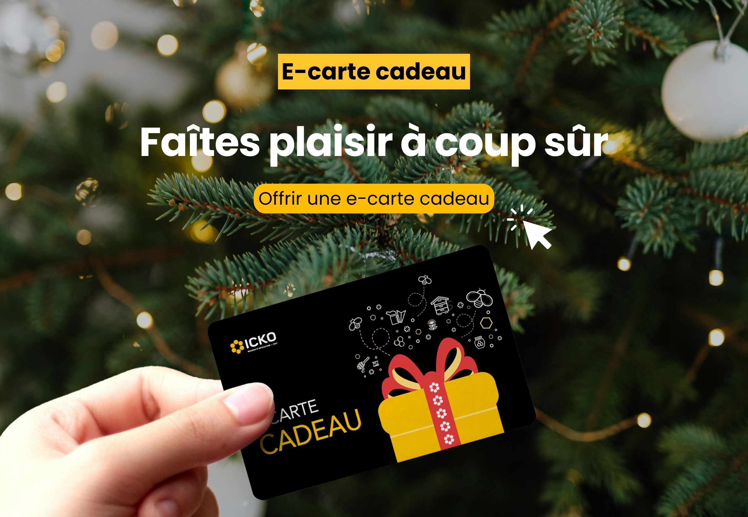 E-carte cadeau ICKO