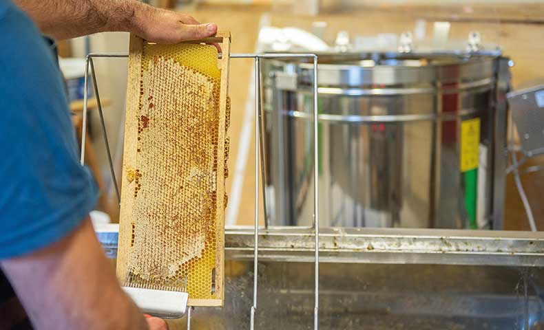 Vente de matériel apiculture, équipement apiculteur - Icko, fournisseur ...