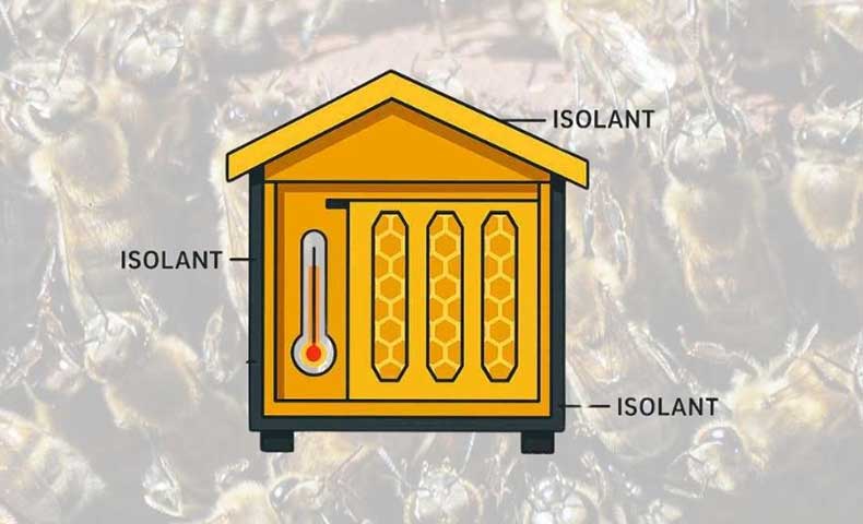 Schéma d’une ruche basse consommation isolée pour protéger les abeilles du froid