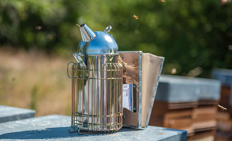 Enfumoir d&rsquo;apiculture pos&eacute; sur une ruche lors d&rsquo;une intervention au rucher