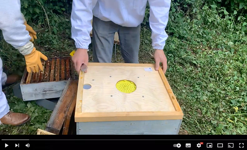 Protection et marquage des ruches : Marqueur indélébile pour ruche -  peinture huile noir - Icko Apiculture